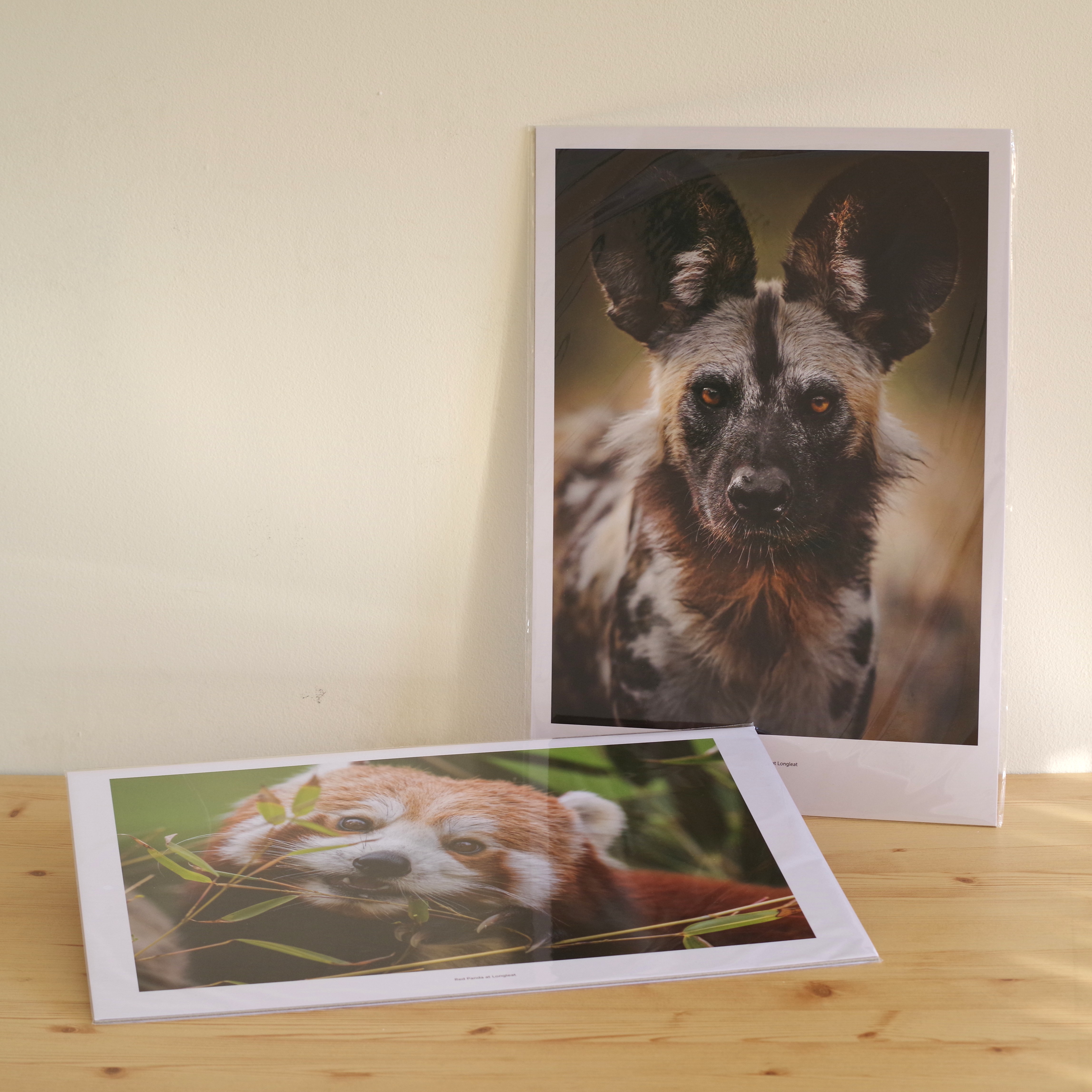 Gallery Print (plain backing board). Flat print 355x280mm