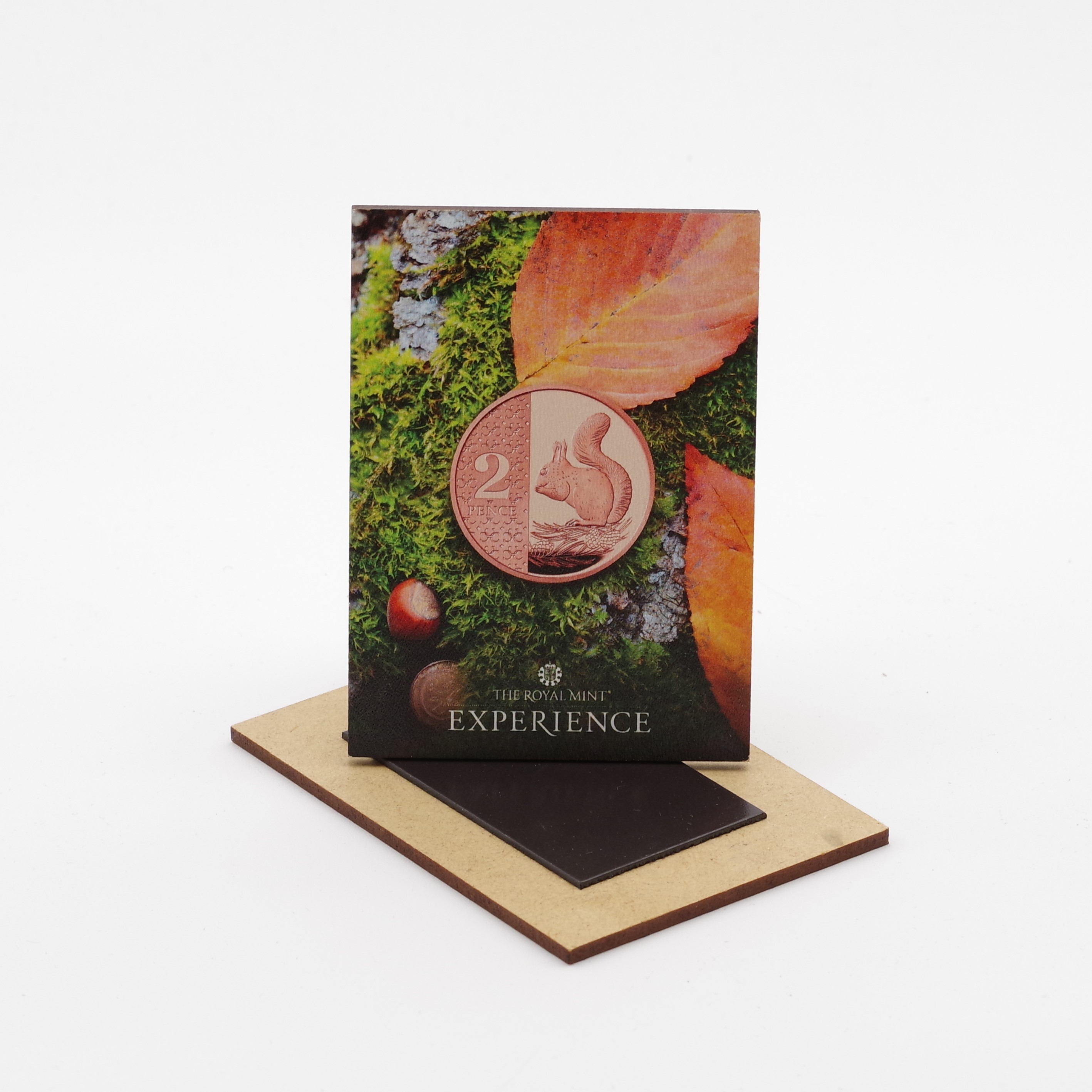 Wooden Fridge Magnet Jumbo 90 x 65 mm