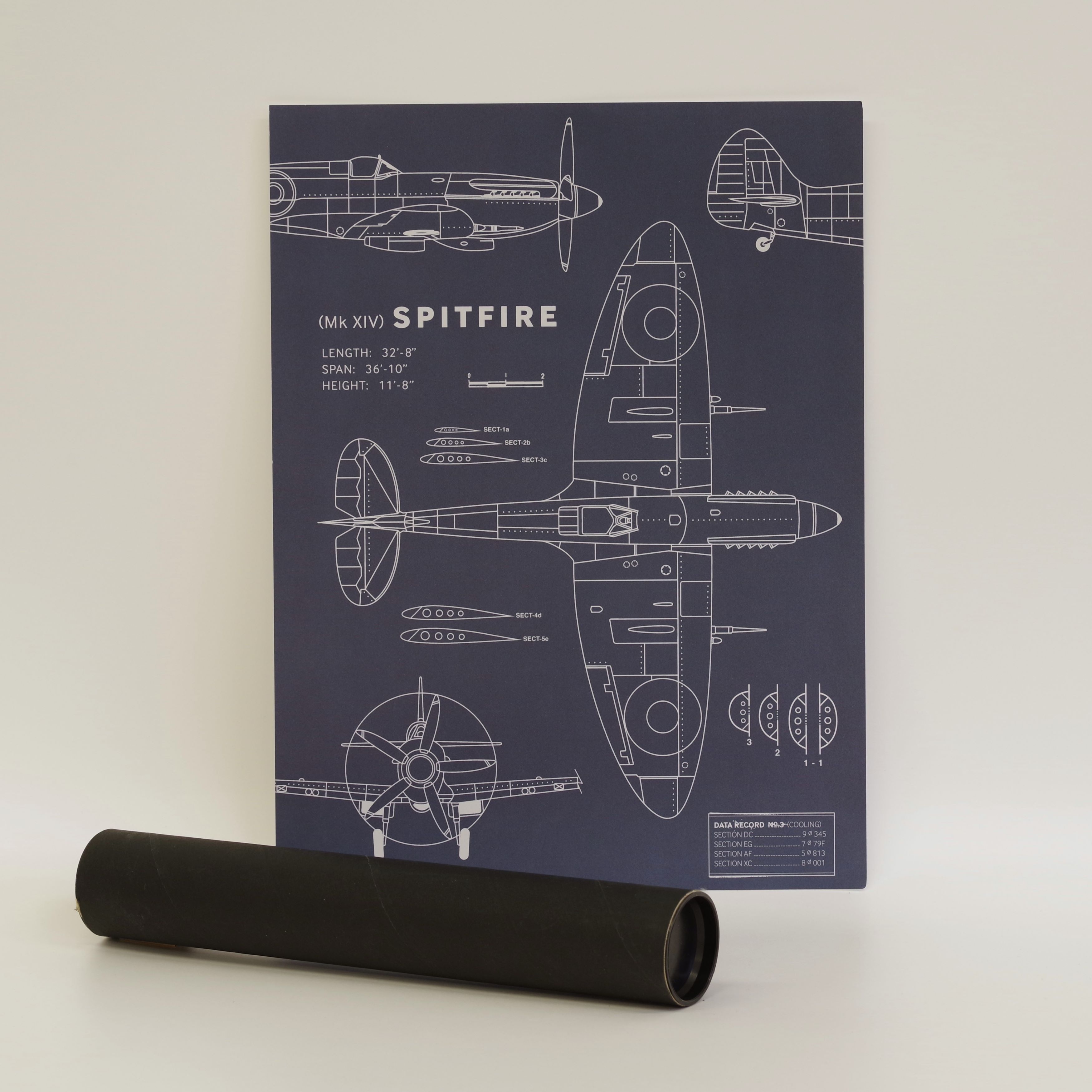 Print, Giclee, A1, satin paper, in tube