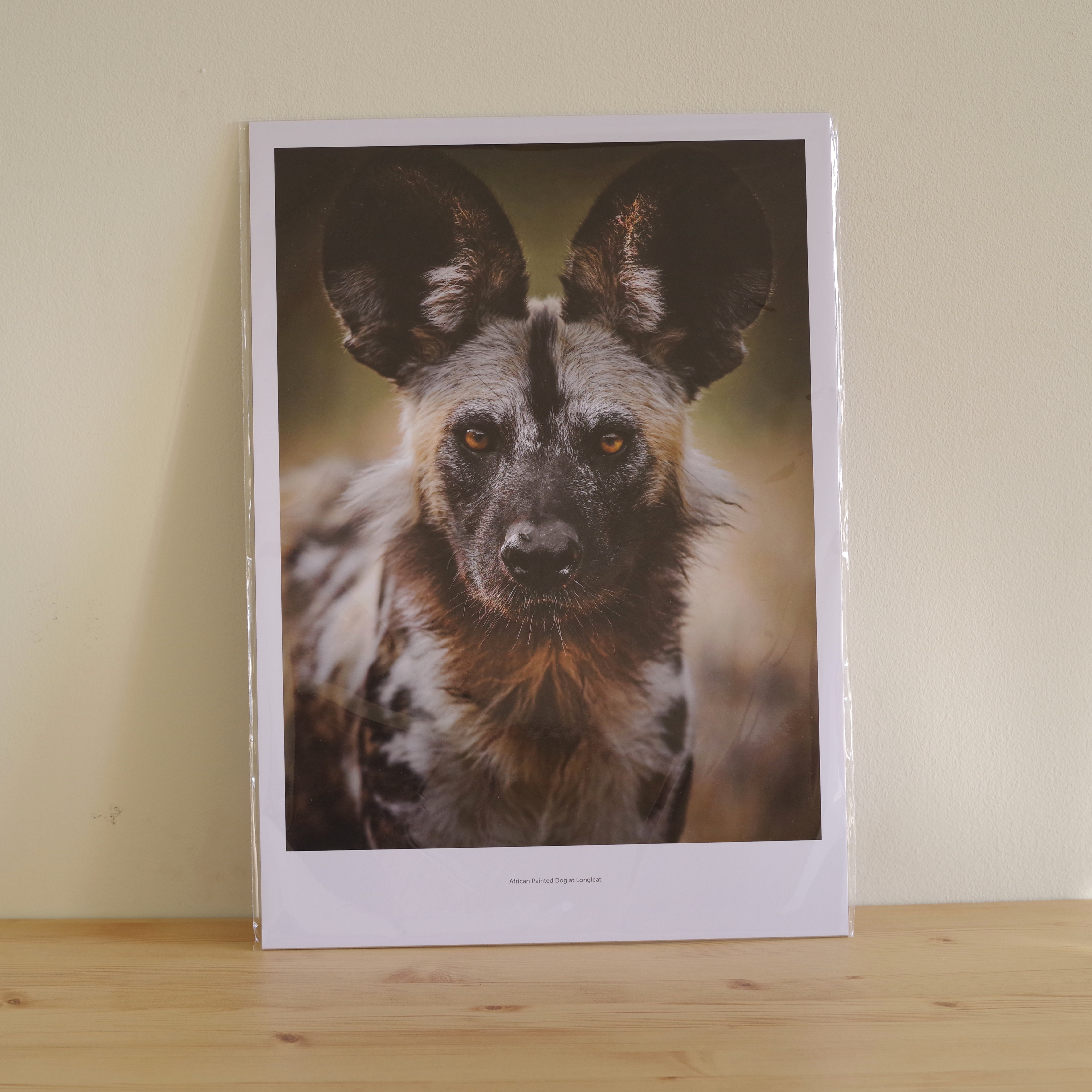 Poster, A1 on 170gsm paper.