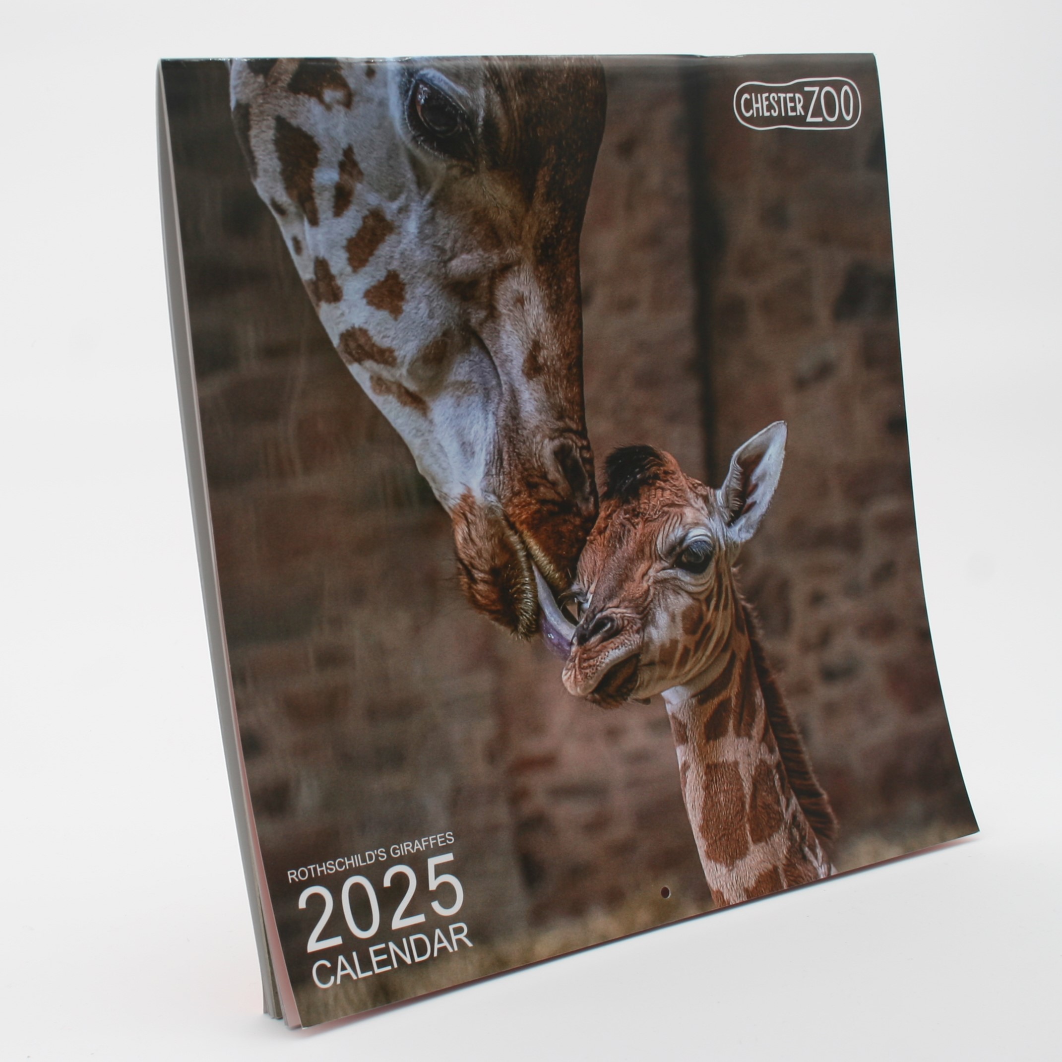 300 x 300mm Calendar