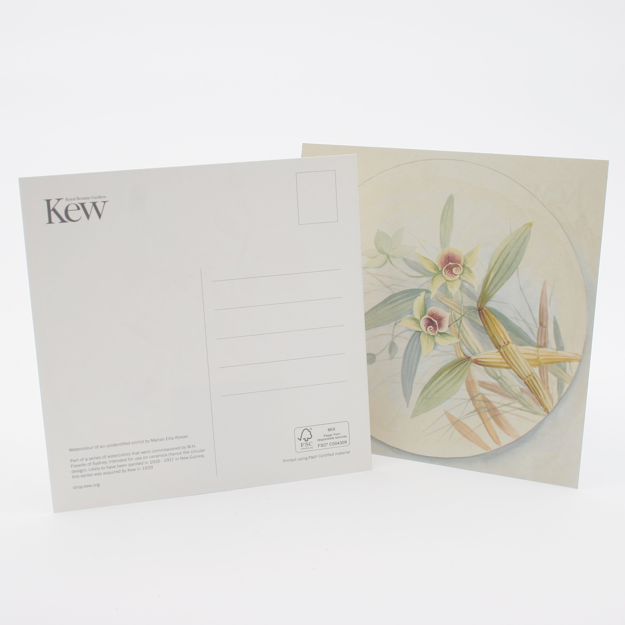 Square Postcard, 140x140mm