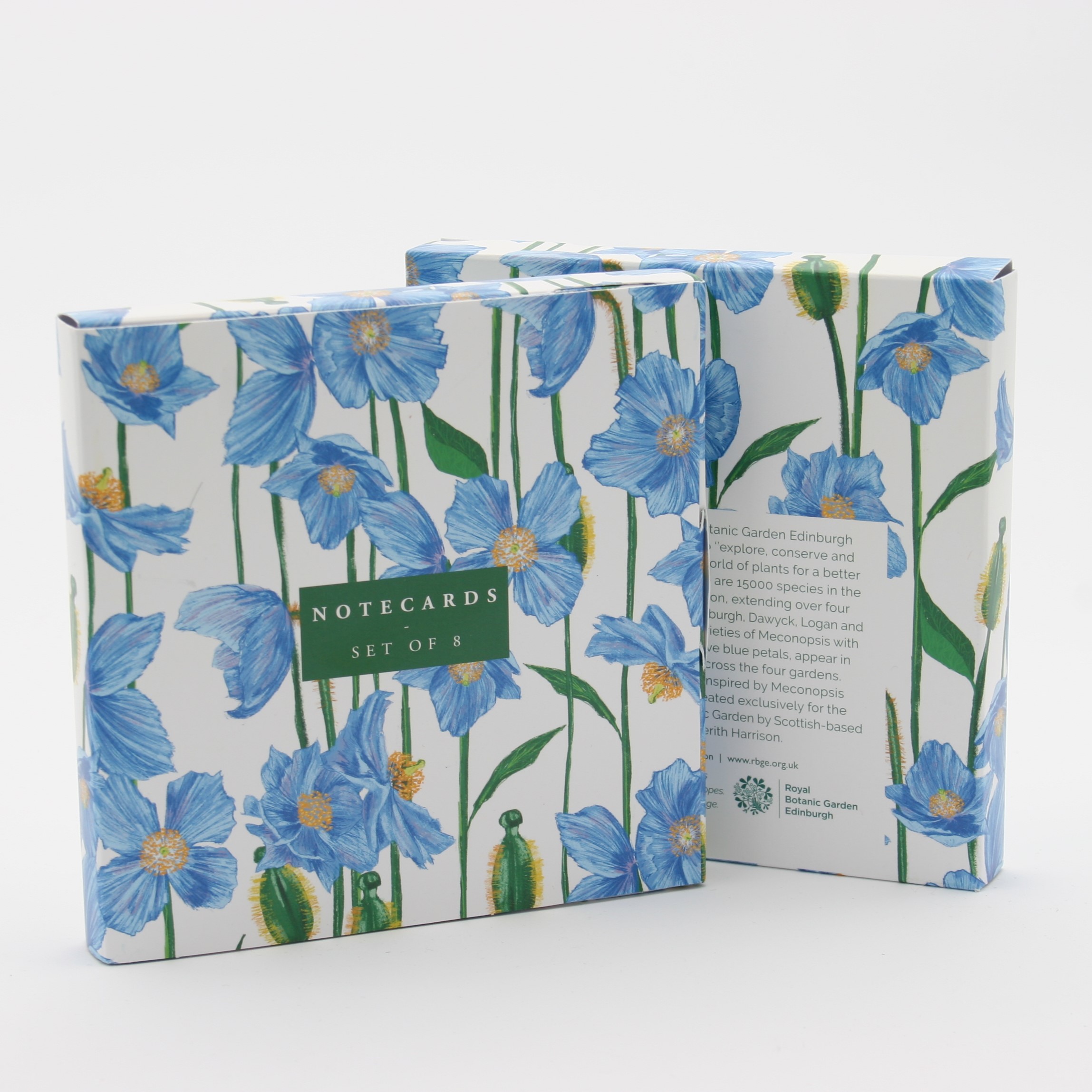 Notecard Wallet, 5x5 format, 8 cards