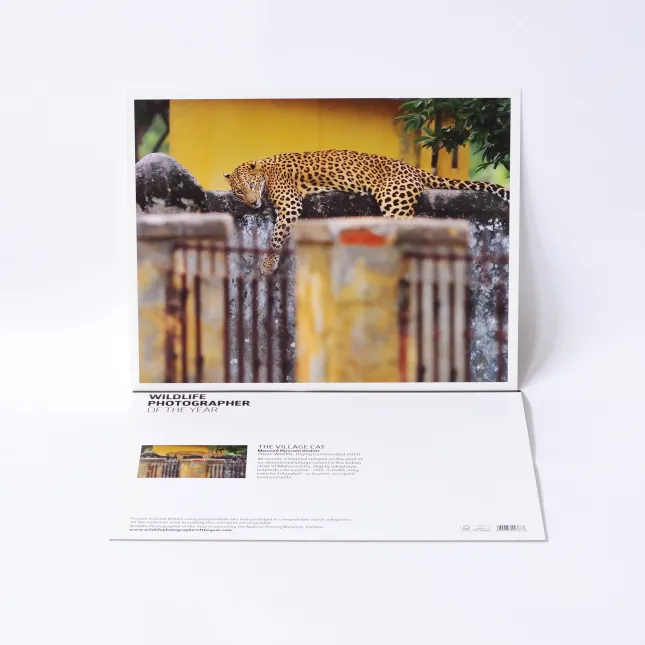 Gallery Print (printed backing board). Flat print 355x280mm