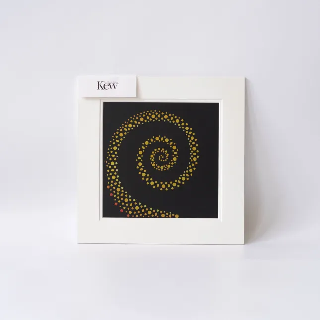 Print, Mounted, Square